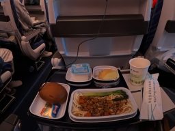 Enjoyed a free hot meal on my Southern China Airlines flight from Manila to FRANKFURT — tasty, satisfying, and included in the ticket price!